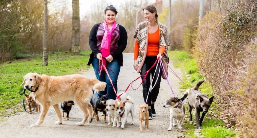 Cuidadores de perros en vacaciones